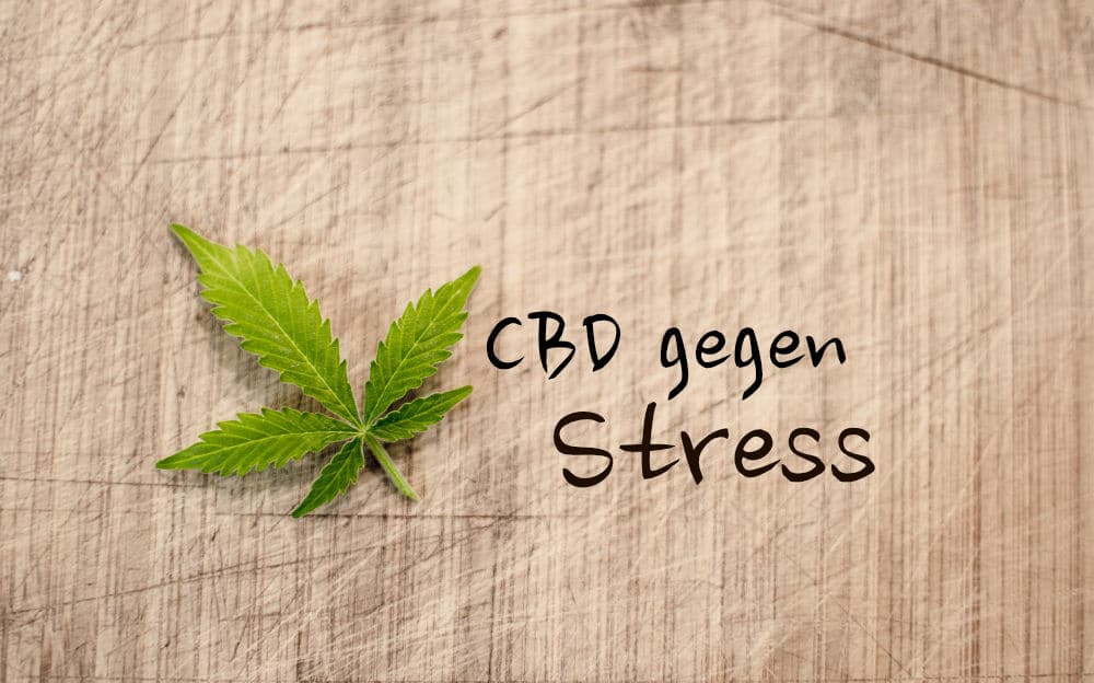 CBD gegen Stress