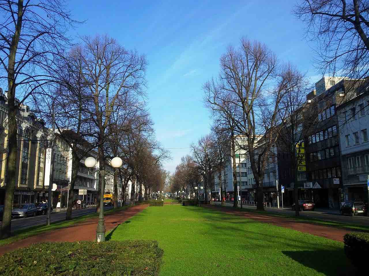 CBD in Krefeld kaufen  Die besten Shops und Geschfte