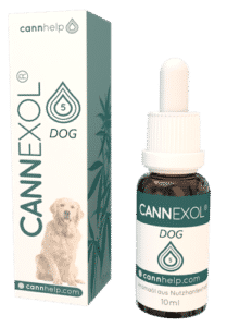 Cannexol für Katzen und Hunde