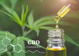 CBD Studien
