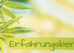 CBD Öl Erfahrungsberichte