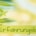 CBD Öl Erfahrungsberichte