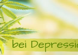 CBD Öl Erfahrungen gegen Depressionen