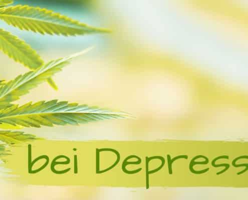 CBD Öl Erfahrungen gegen Depressionen