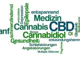 CBD bei Migräne