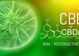 Unterschied CBDa zu CBD