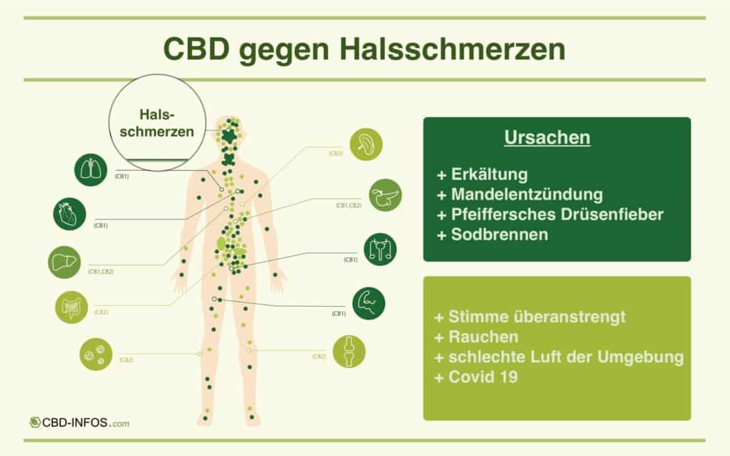 CBD gegen Halsschmerzen Infografik