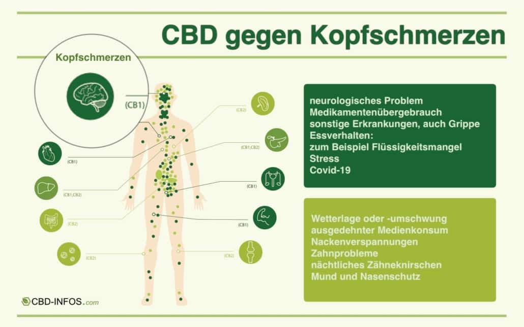 Infografik zu CBD gegen Kopfschmerzen