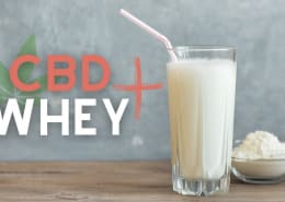 CBD Whey Protein Test