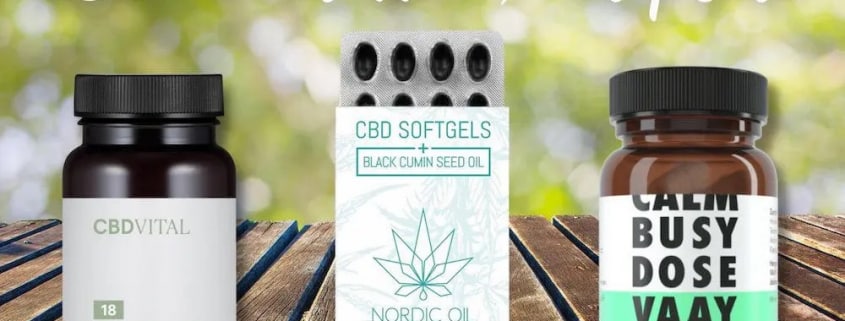 CBD Kapseln Testsieger