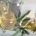 CBD Schwarzkümmelöl Test