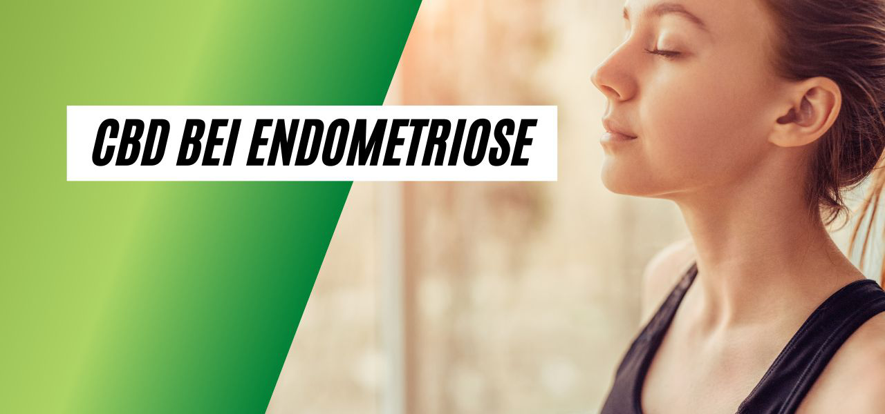 CBD bei Endometriose Erfahrungen
