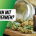 Kann man mit CBD Öl abnehmen?