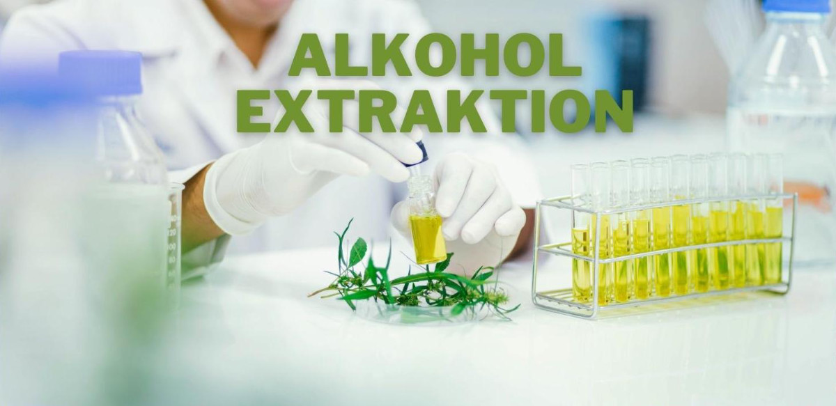CBD Alkohol Extraktion 