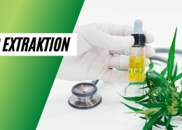CBD Extraktionsverfahren