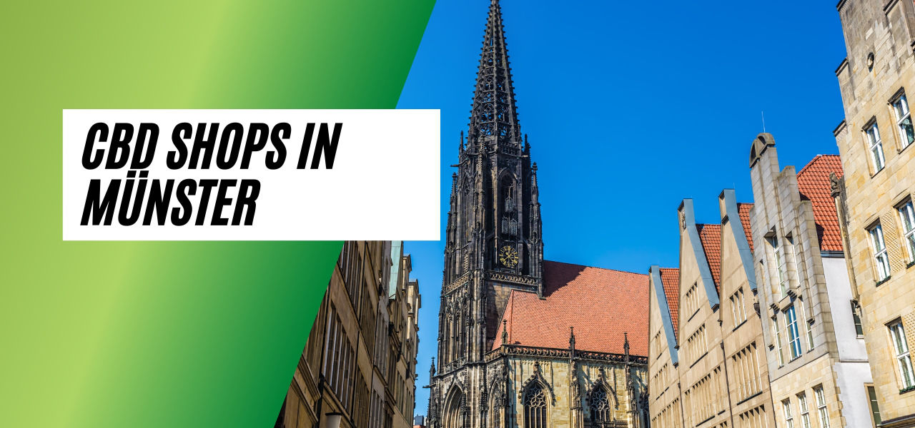 CBD Shops in Mnster  CBD Blten und HHC in Mnster kaufen!